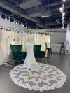 V-Back Lace Wedding Gown